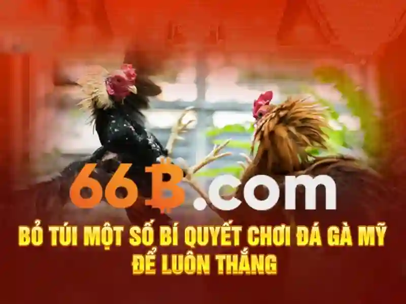 66b – Trang Chủ Chính Thức | Đăng Ký & Tải App Nhận Khuyến Mãi Khủng