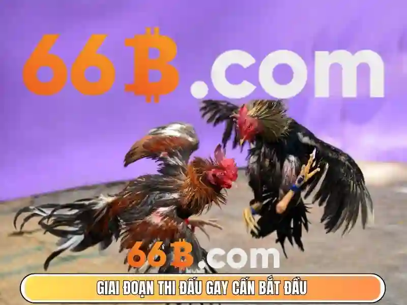  tải apk - 66B