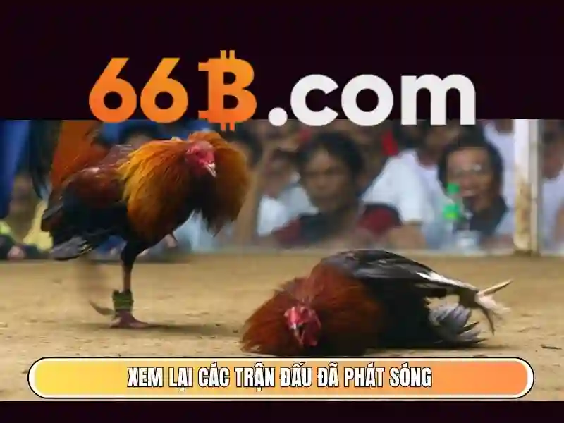 66B | Link Vào 66B Chính Chủ 2026 - Đăng Ký Xóc Đĩa 66B + 288K - 66B