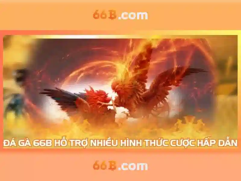 66b – Trang Chủ Chính Thức | Đăng Ký & Tải App Nhận Khuyến Mãi Khủng