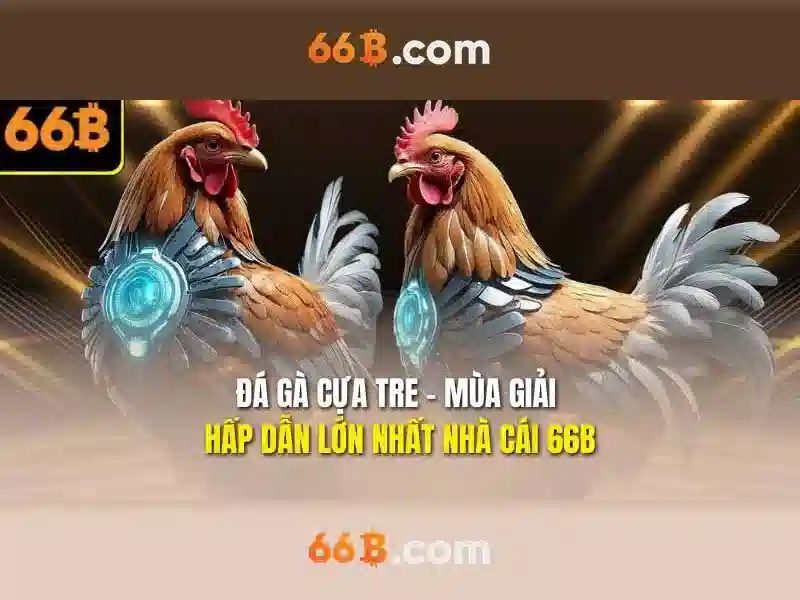 điều khoản dịch vụ - 66B