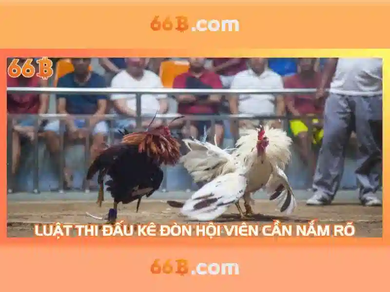  cá cược Slot - 66B