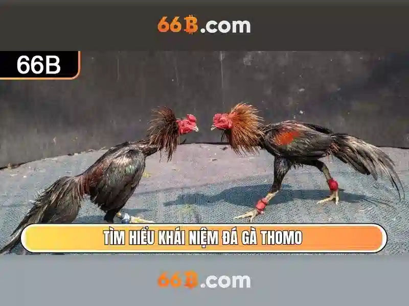 thẻ Slot 66B - 66B