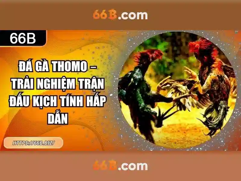 66B – Trải Nghiệm Slot Đỉnh Cao Với Cờ Vua 66B - 66B