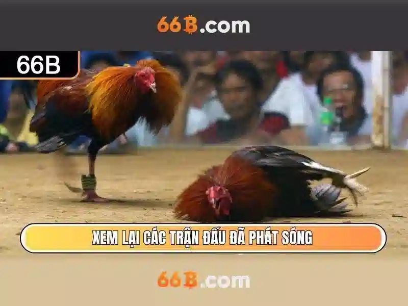 66B – 66b Hoàn Tiền Hôm Nay: Cập Nhật Mới Nhất - 66B