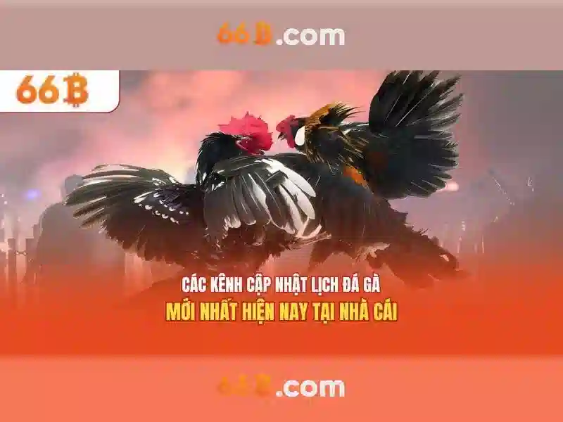 66b – Trang Chủ Chính Thức | Đăng Ký & Tải App Nhận Khuyến Mãi Khủng
