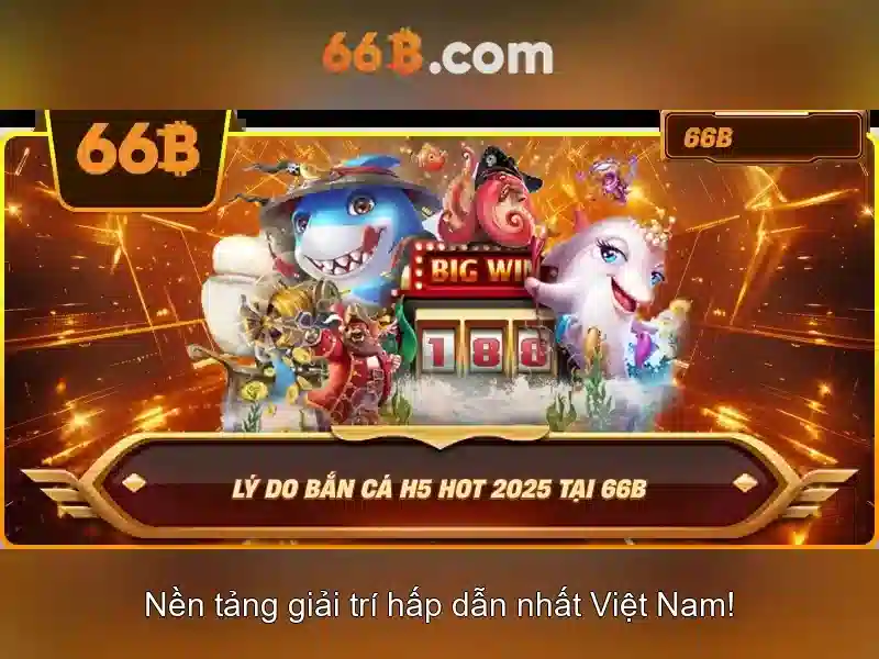  66B app - 66B