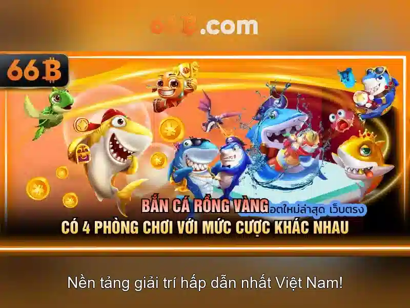  quy định - 66B