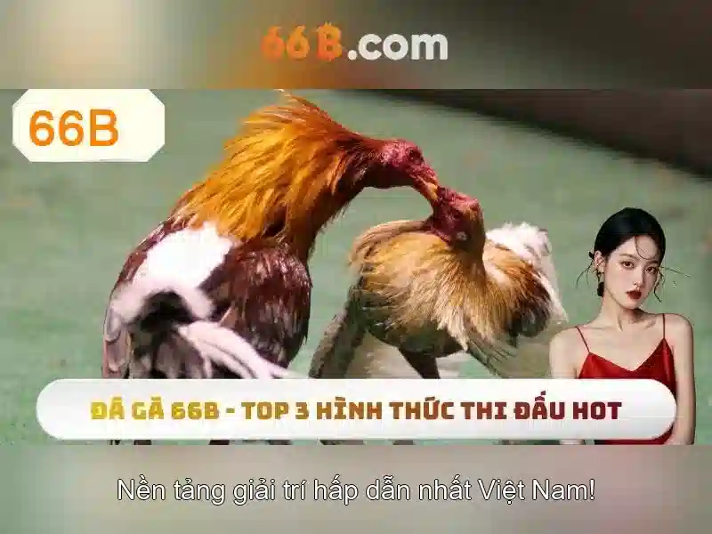 66B - Sảnh Chơi Slot Đỉnh Cao Với 66b App Hấp Dẫn - 66B