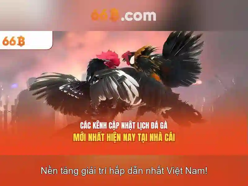  66B chính thức - 66B