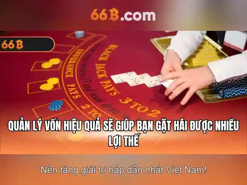  chất lượng - 66B