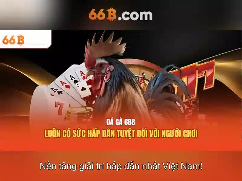 cá cược Slot 66B - 66B