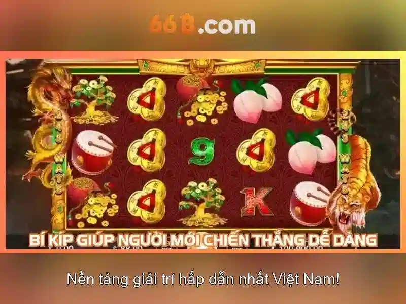  quyền riêng tư 66B - 66B