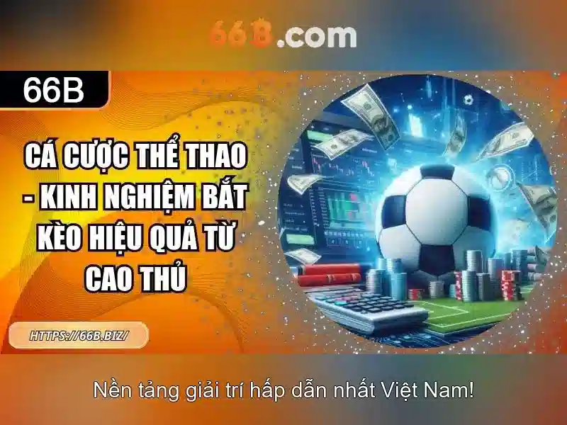  hướng dẫn đăng nhập - 66B