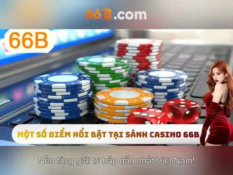 chính sách bảo mật - 66B