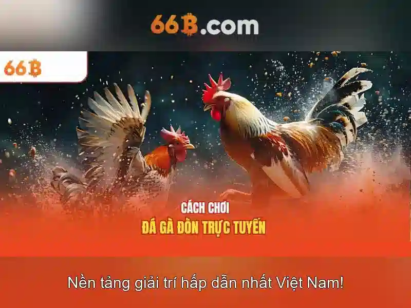  cá cược - 66B