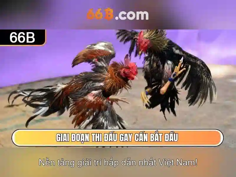  cài đặt 66B - 66B
