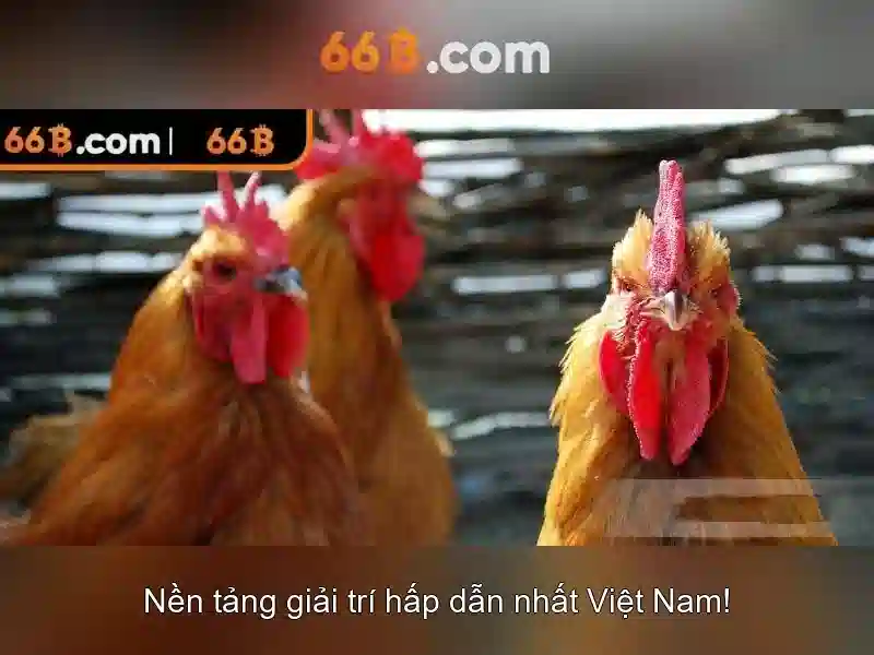66B – Trải Nghiệm Bắn Cá Đỉnh Cao Cùng Bắn Cá 66B Không Bị Chặn 2026 - 66B