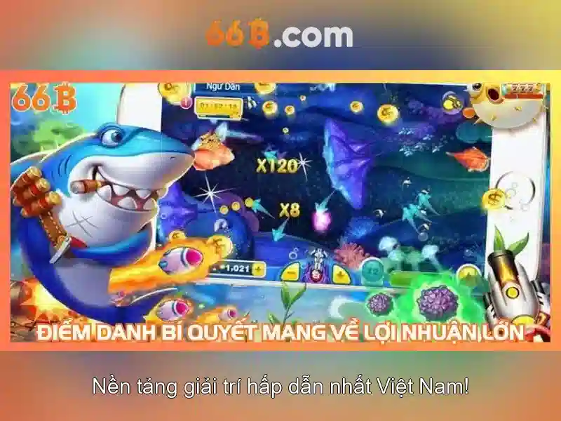 chính sách bảo mật 66B - 66B