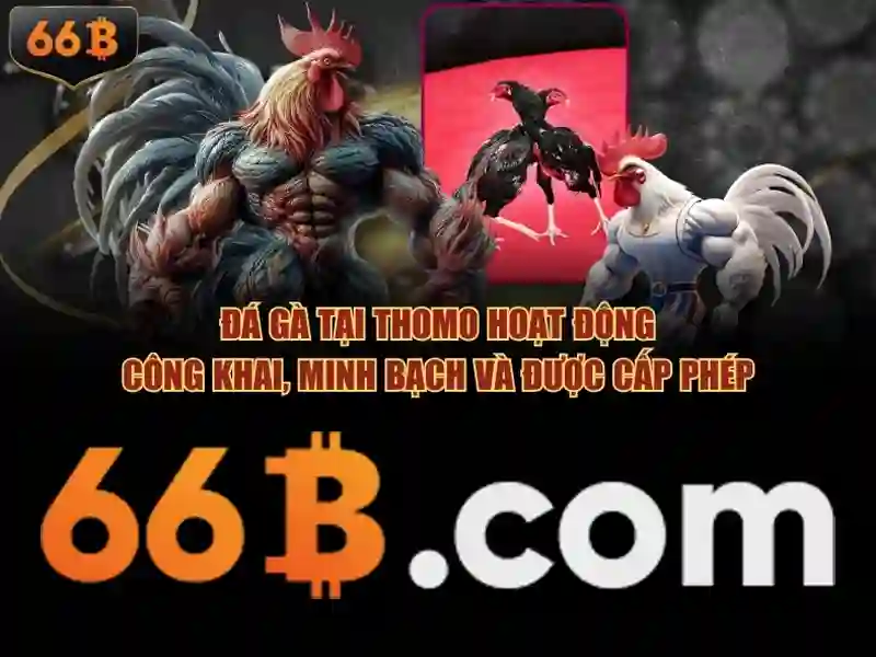  Slot - 66B