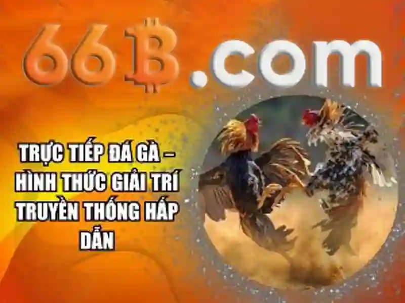 66B slot game - 66B